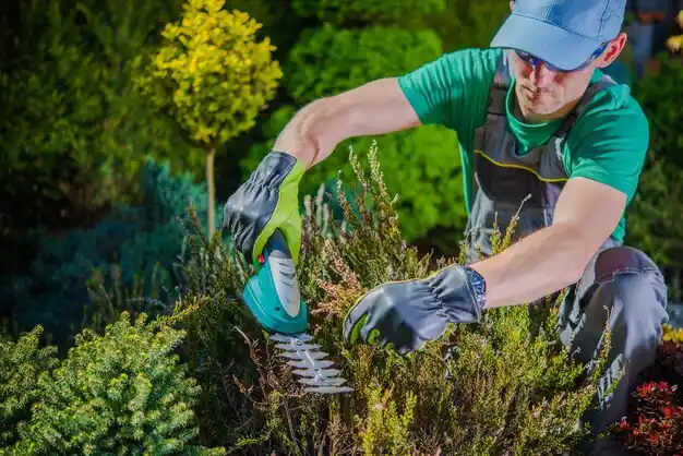 landscaping services Whitesboro